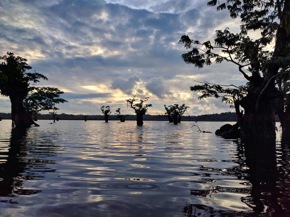 Green Forest Ecolodge Puerto Montufar Екстериор снимка