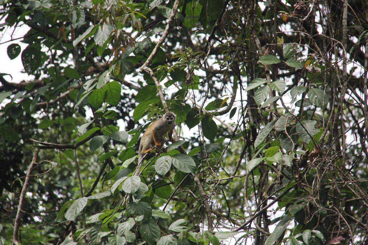 Green Forest Ecolodge Puerto Montufar Екстериор снимка